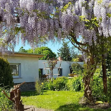 Ferienbungalow Kranich *