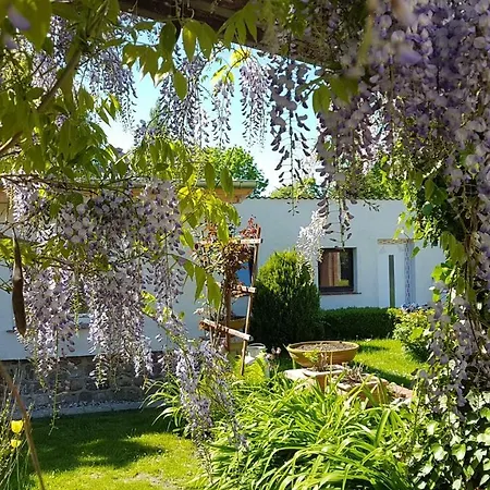 Ferienbungalow Kranich Apartment Bartelshagen (Vorpommern-Rugen)
